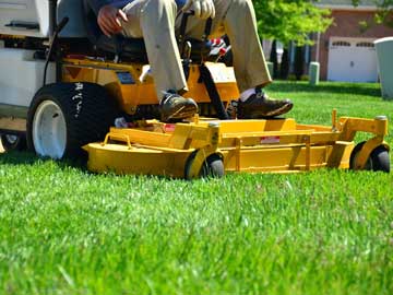 Landscape & Lawn Care Local SEO and Web Design